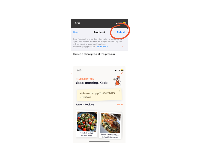Step 4: Submit feedback